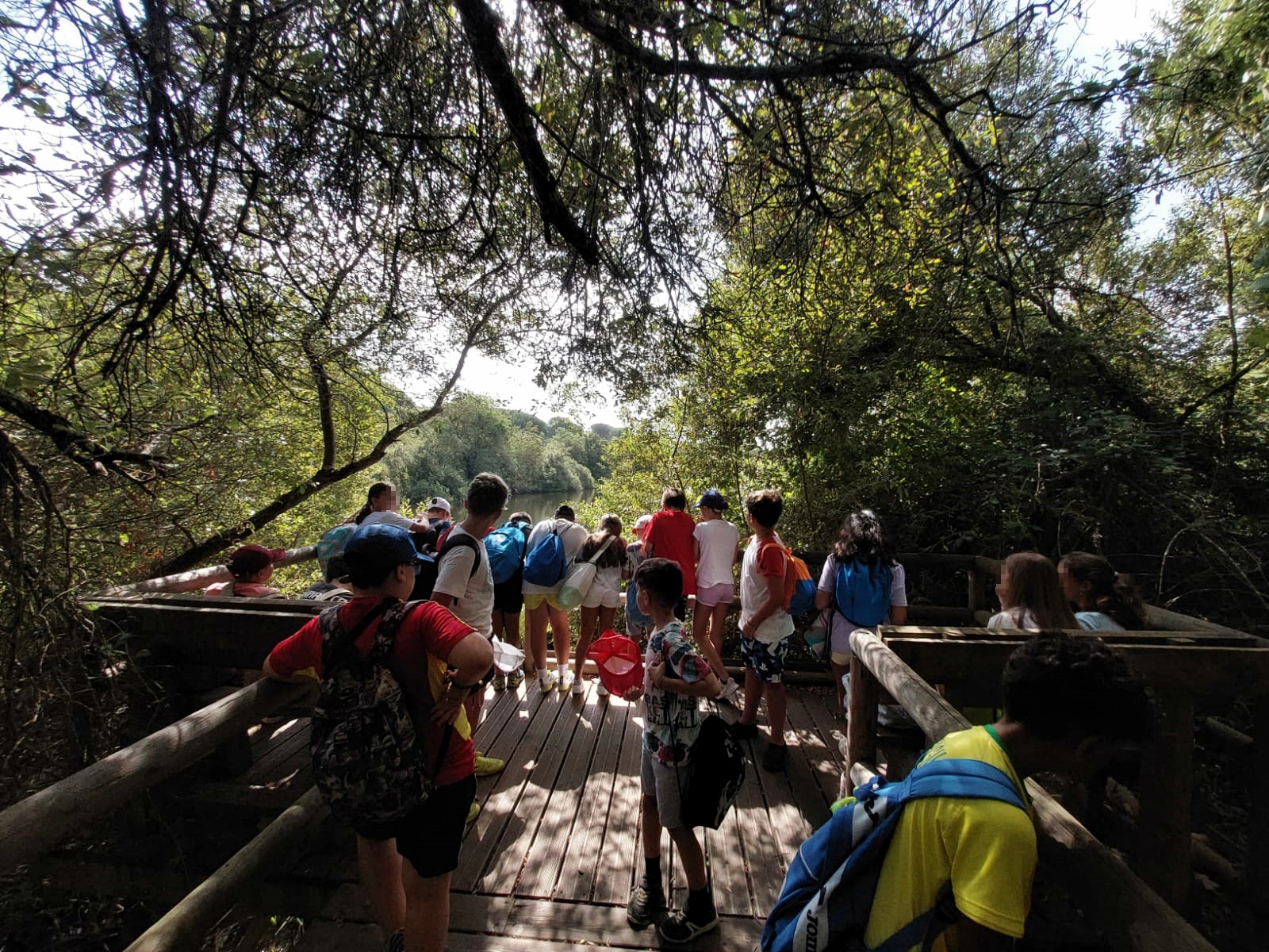 Sendero del acebrón - Colonias DoñanaTour 2024