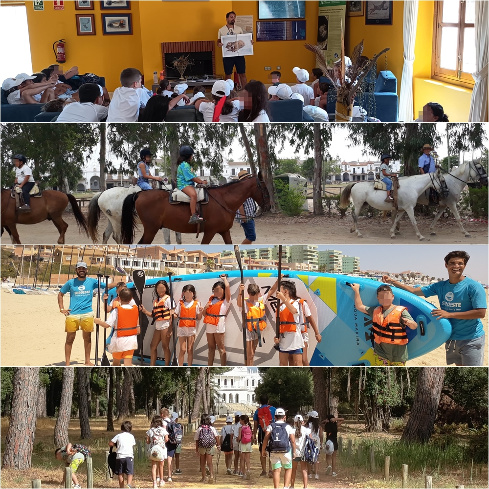 Disfrutando y aprendiendo de Doñana. Disfrutando y aprendiendo de Doñana.