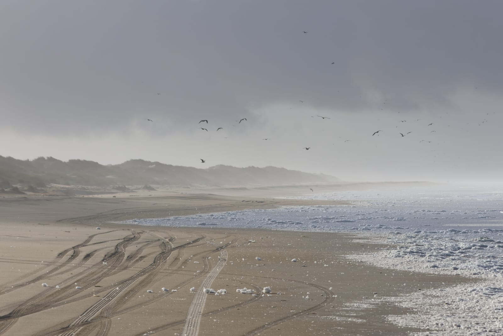 Dinámica litoral, otoño en Doñana. Dinámica litoral, otoño en Doñana.